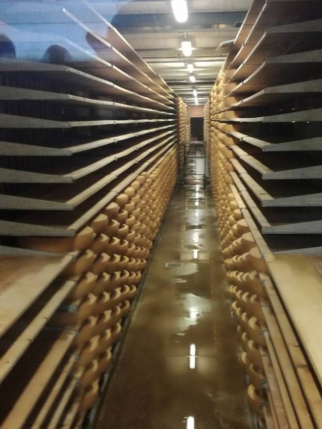 szwajcaria-francja (5).jpg